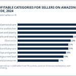 amazon profitable category 2024